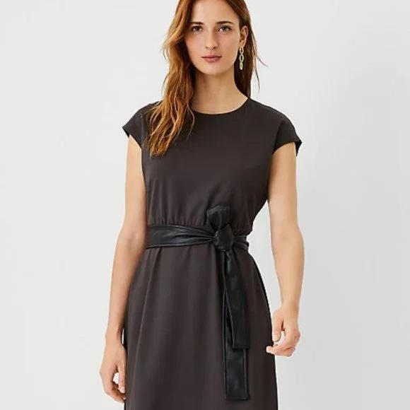 Ann Taylor Faux Leather Belted Flare Dress - Picture 3 of 4
